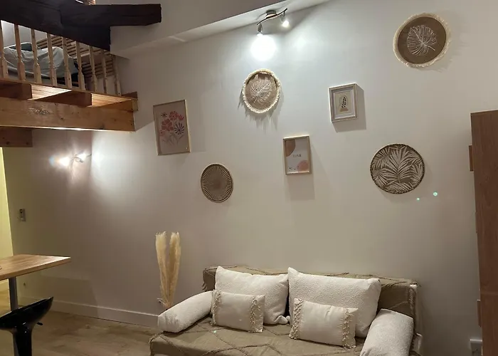 Loft Boheme Et Cosy
