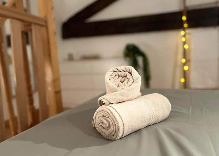Loft Boheme Et Cosy