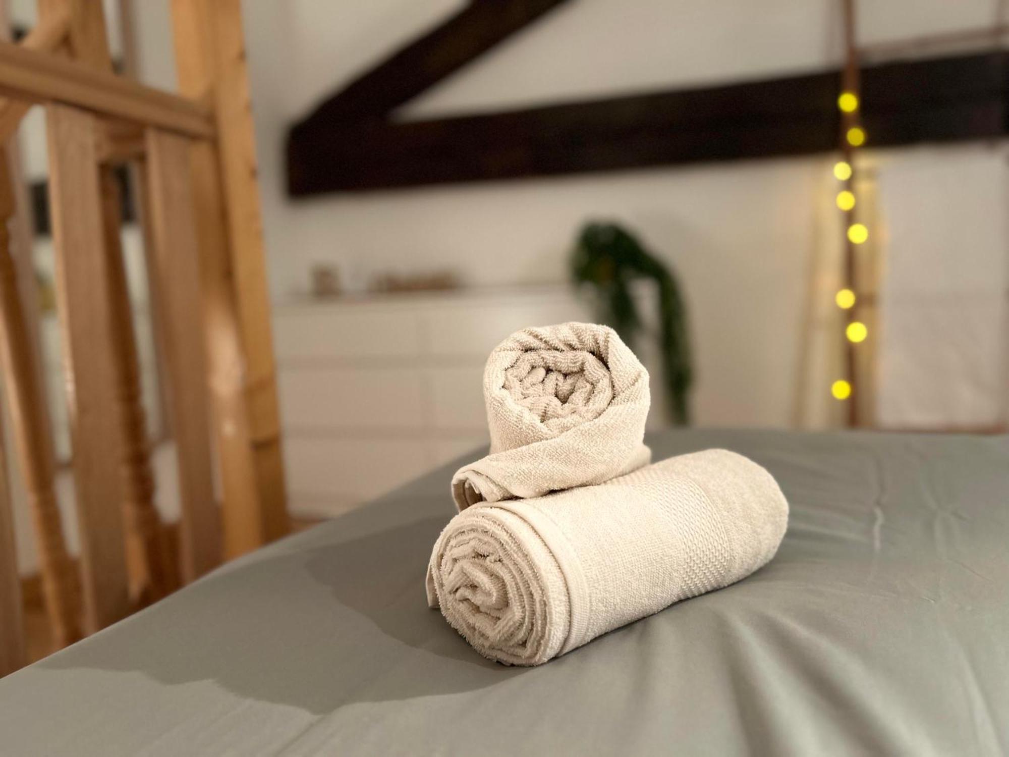 Loft Boheme Et Cosy * Montauban